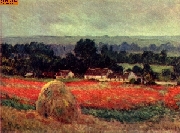 Das Mohnblumenfeld nach Monet